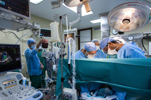 Florida Sports Injury and Orthopedic Institute